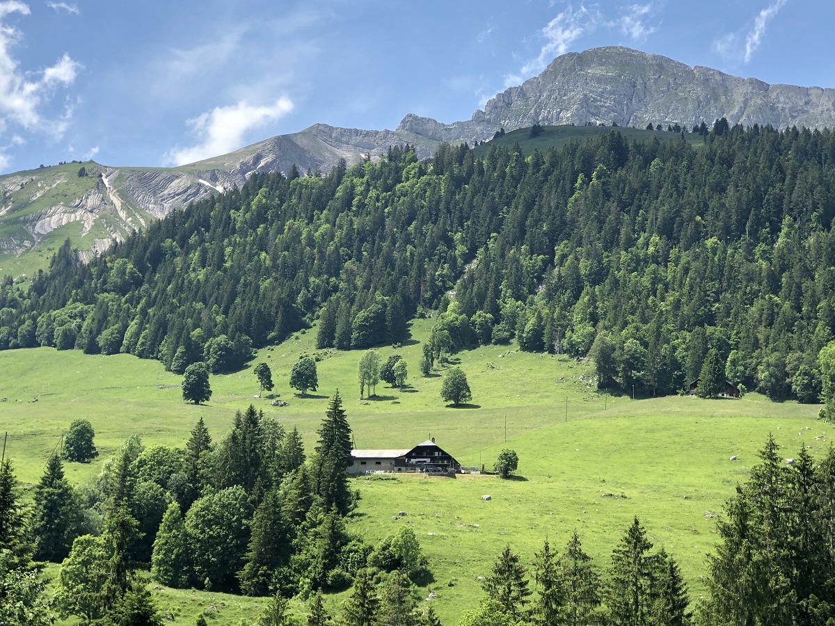Ronde d’alpage à la Cluse